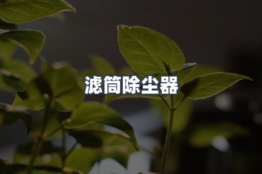 滤筒除尘器